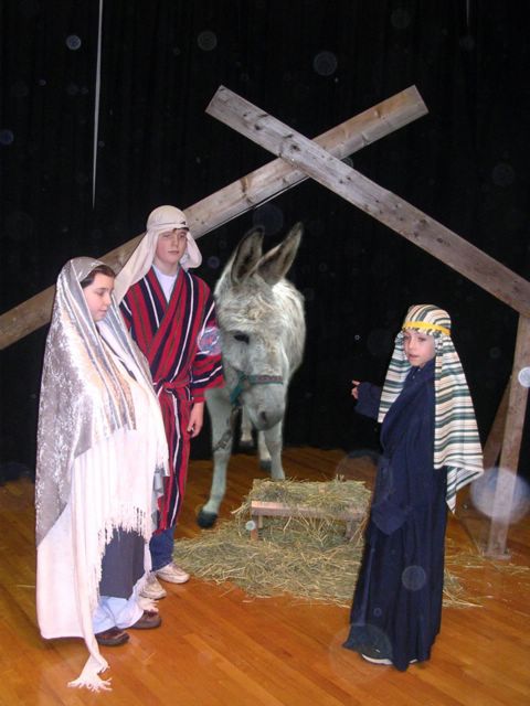 6_stable.jpg