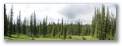 meadow_pano