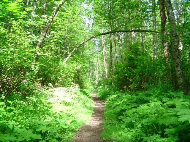 dsc05032