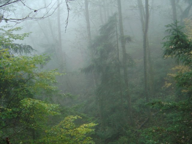 dsc08276