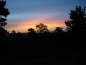 dsc00483