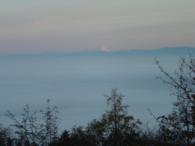 dsc08226