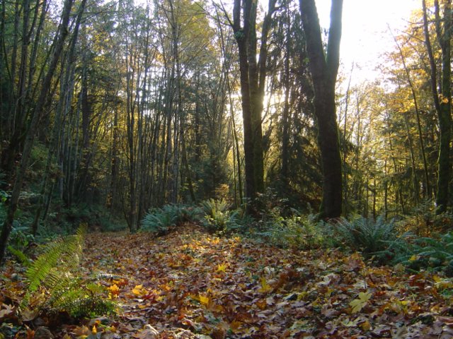 dsc08256
