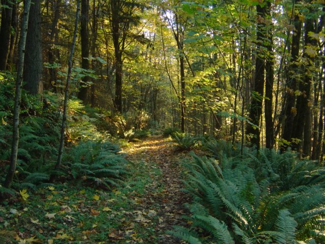 dsc08265