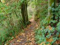 dsc07903