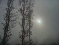 dsc07734