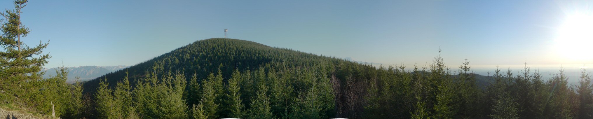 tiger_pano_big.jpg