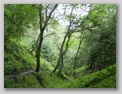trail