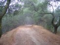 dsc00229