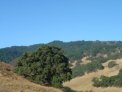 dsc00231