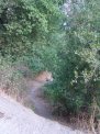dsc00545