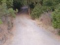 dsc00548