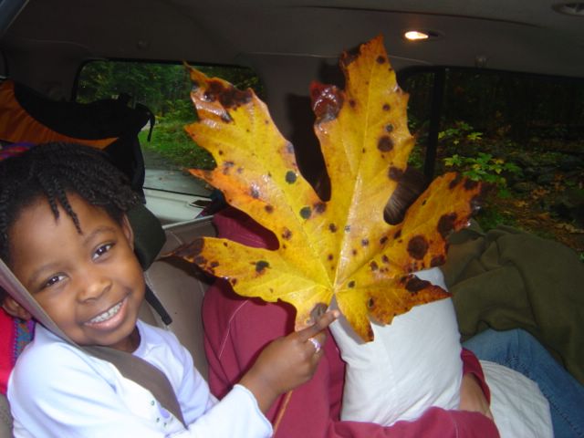dsc07738.jpg