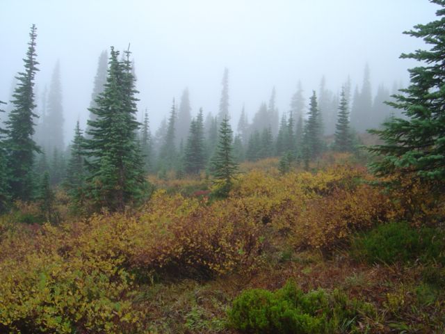 dsc07759.jpg