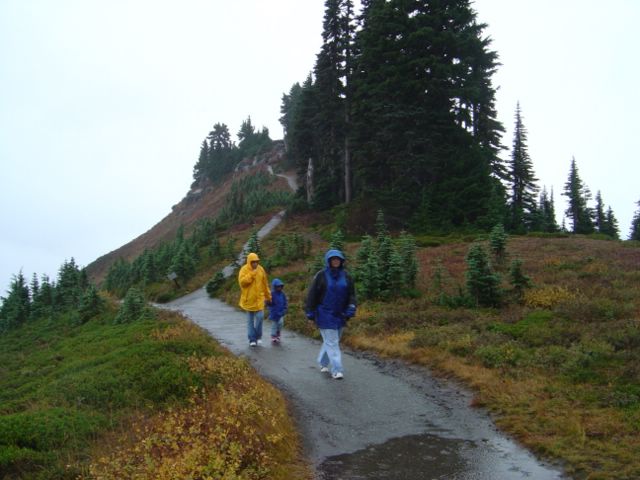 dsc07779.jpg