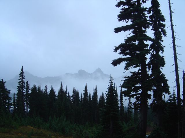 dsc07791.jpg