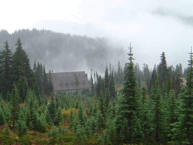 dsc07796.jpg