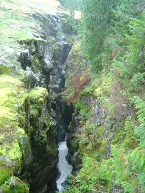 dsc07804.jpg