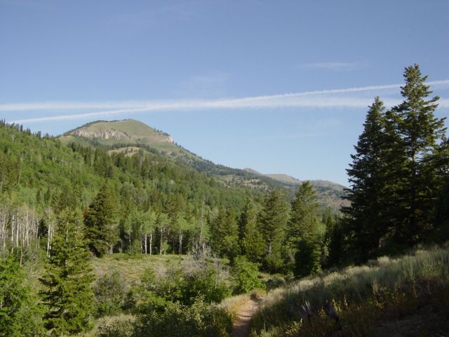 Old Juniper Trail - Logan Canyon - 2003