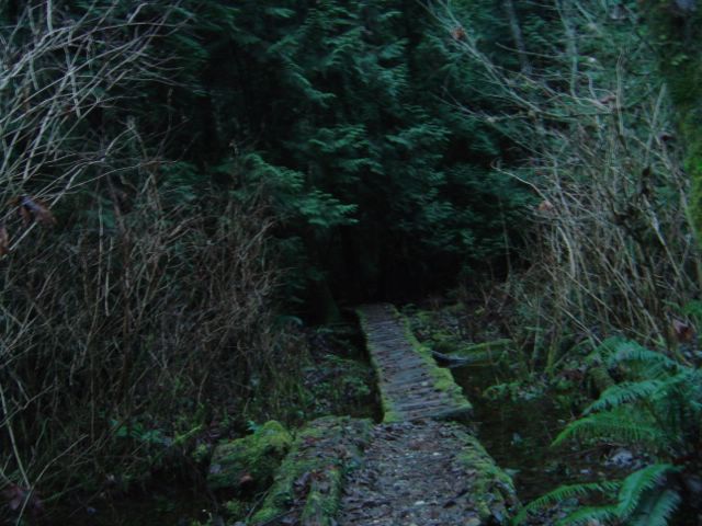 dsc08580.jpg