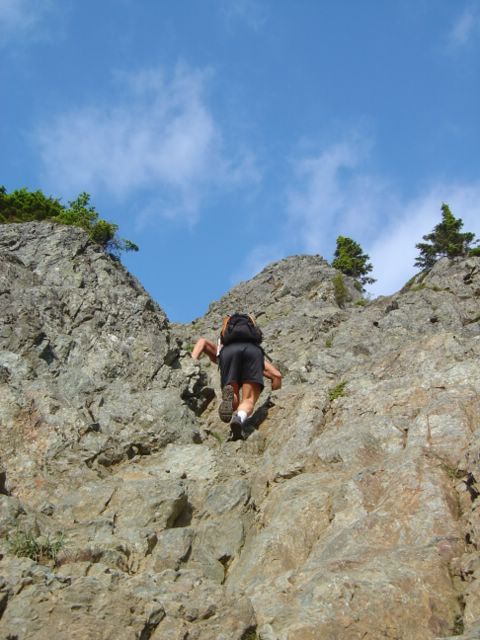 dsc06097.jpg