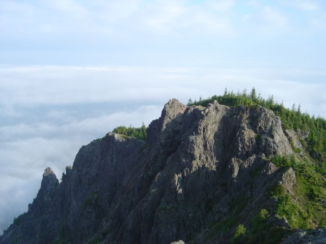 dsc06114.jpg