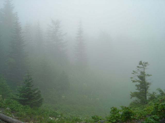 dsc06127.jpg