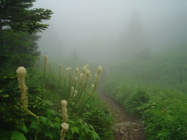 dsc06132.jpg